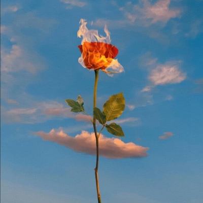 亚搏官网 官网登录下载截图