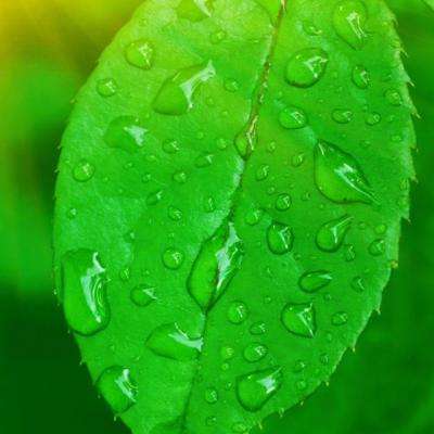 澳门天天免费资料大全下载手机app下载截图